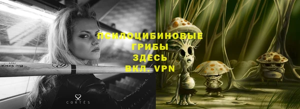 первитин Дмитров