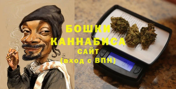 соль ск Дмитровск