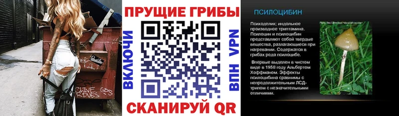 Купить где  Великий Новгород  Псилоцибиновые грибы прущие грибы 